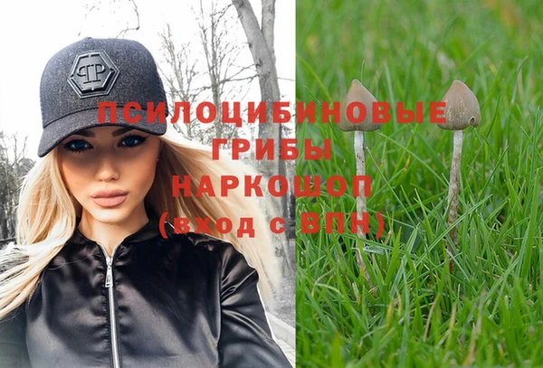 стаф Армянск