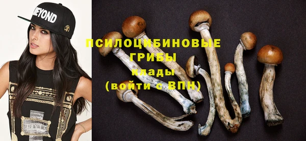 прущий лед Аркадак