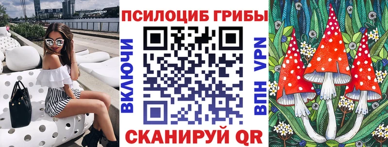 Псилоцибиновые грибы мицелий  Купить где  Агидель 