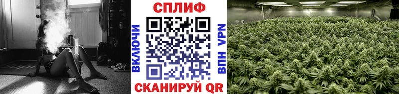 Конопля White Widow  Купить закладки  Агидель 